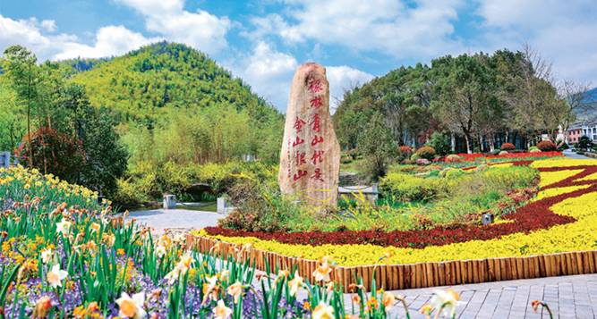 深度调研 | 余村调查