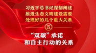 “双碳”承诺和自主行动的关系