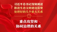 重点攻坚和协同治理的关系